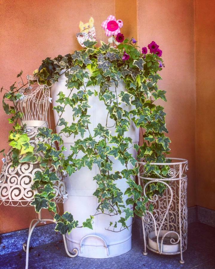 I Grappoli Divini Bed & Breakfast Viarigi Exterior foto